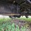 1999-ford-ranger-image-50
