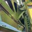 john-deere-4840-image-14