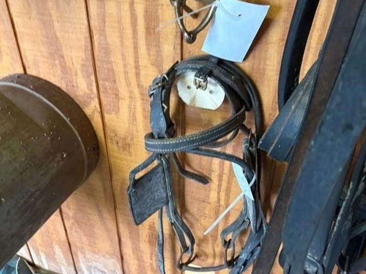 (3)-amish-style-driving-bridles-image-7
