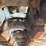 2019-bobcat-e50-image-13