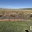 (2x)-16ft-x-8ft-cattle-guard-crossings-image-2
