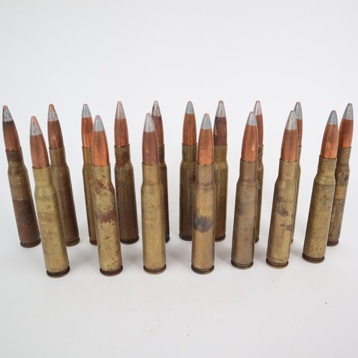 #42 • #4061 • (17rds) 50 Cal BMG Silver Tip Cartridges