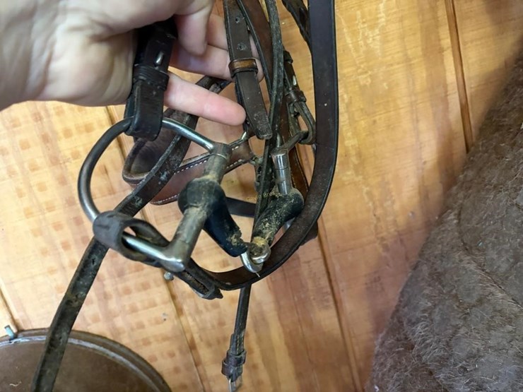 english-bridle-image-3