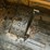 2010-caterpillar-257b-image-61