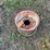 #5075-•-11l-rim-off-chopper-box-image-1