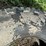 #5016-•-(2)-tires-image-11