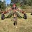 #1670-•-h&s-hi-capacity-wheel-rake-image-2