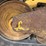 caterpillar-289d-image-10