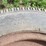#5060-•-assorted-tires-image-4