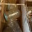 baby-jars-image-2