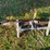 #5072-•-(2)-tree-stand-steps-image-6