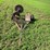 #5025-•-buzz-saw-on-cart-image-2