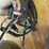 english-bridle-image-2