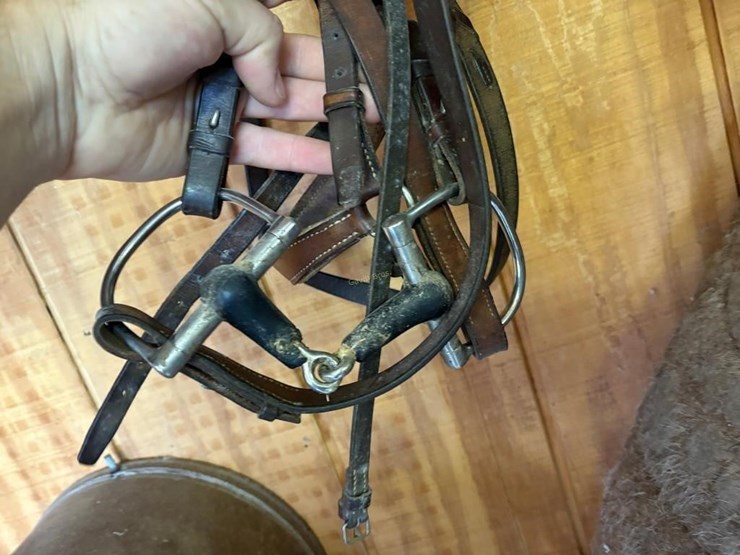 english-bridle-image-2