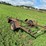 #5026-•-trailer-frame-image-7