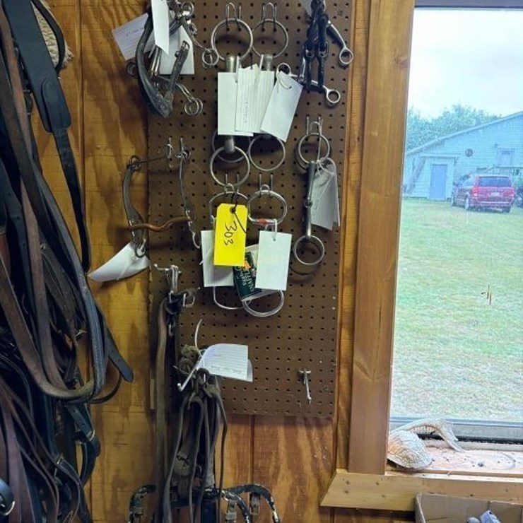 Assorted Bits, snaffles, Curb bits etc
