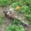 #5062-•-used-water-pump-image-1