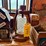 bird-feeder/house,-crock-pot,-box-etc-image-2