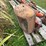 allis-chalmers-tractor-parts-image-6
