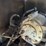 #146-•-2013-doosan-portable-air-compressor-image-41