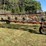 #1670-•-h&s-hi-capacity-wheel-rake-image-4
