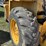 massey-ferguson-4500-image-8