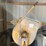 #1934-•-stone-mortar-mixer-image-2