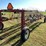 #1670-•-h&s-hi-capacity-wheel-rake-image-5