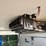 2016-ford-transit-connect-image-34