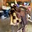 western-saddle-&-riding-chaps-image-3