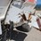 #2044-•-harsh-303h-feed-mixer-wagon-image-8
