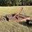 #439-•-6ft-cutter-image-3