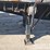 2006-wade-flatbed-image-12