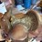 western-saddle-&-riding-chaps-image-6