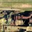 john-deere-70-image-25