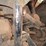 honda-fourtrax-300-image-15