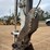 takeuchi-tb260-image-10