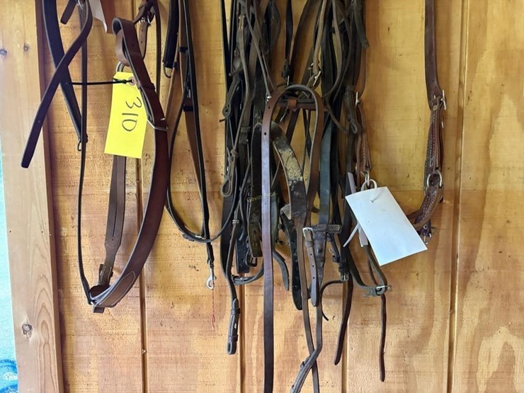 english-riding-head-stalls-image-3
