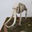#12-•-#4200-•-diaroma-featuring-florida-mastodon-molar-and-cast-mastodon-replica-image-4