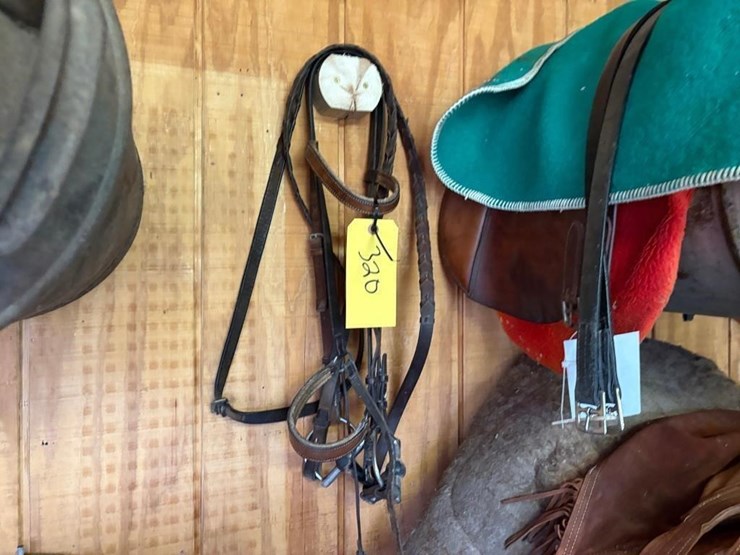english-bridle-image-1