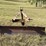 #437-•-6ft-3pt-scrape-blade-image-4