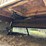 #203-•-magnolia-mobile-home-image-10