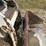 2008-bobcat-t190-image-13
