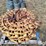 track-chains/sprocket-segments-image-2