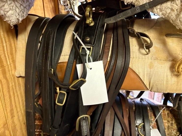 amish-style-horse-buggy-harness-image-3