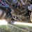 #1666-•-2019-freightliner-cascadia-semi-tractor-(title-in-delay)-image-49