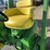 john-deere-4020-image-45