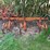 allis-chalmers-cultivator-image-2