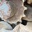 2019-takeuchi-tl8-image-14