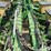 1981-john-deere-7000-image-20